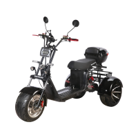 Электроскутер CityCoco SKYBOARD TRIKE BR60-3000 PRO Trike