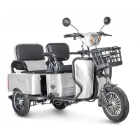 Электротрицикл Rutrike Gelbert Tuban 48V/60V 600Вт 